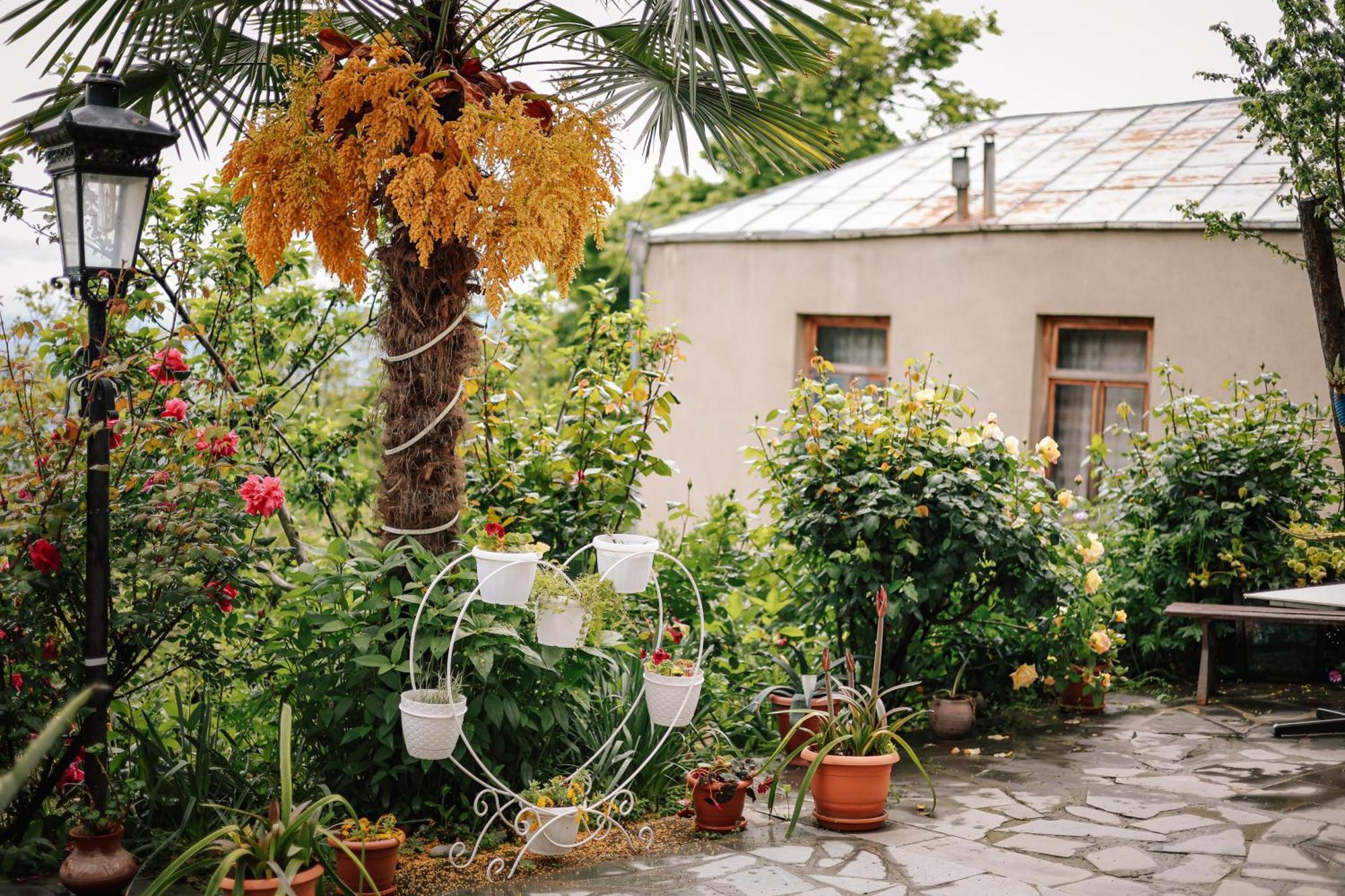 Sighnaghi Garden House Hotel Ngoại thất bức ảnh